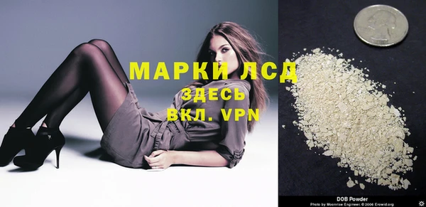 стафф Арсеньев