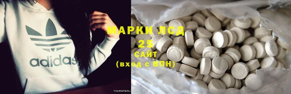 стафф Арсеньев