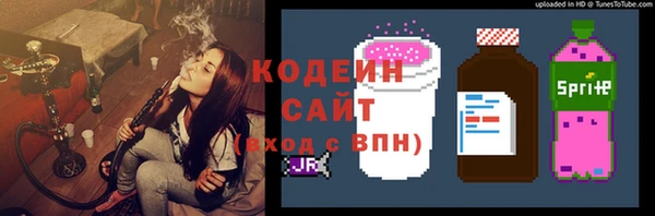 стафф Арсеньев