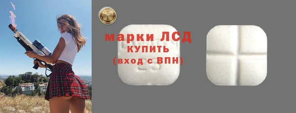 стафф Арсеньев