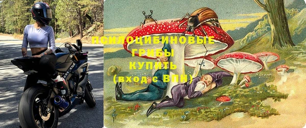 СК Аркадак