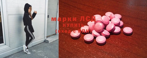 стафф Арсеньев
