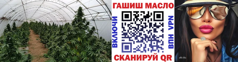 ТГК жижа  купить  сайты  Сенгилей 