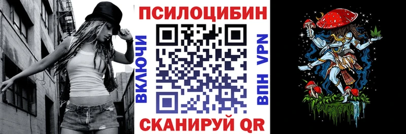 купить закладку  Сенгилей  Псилоцибиновые грибы Psilocybe 